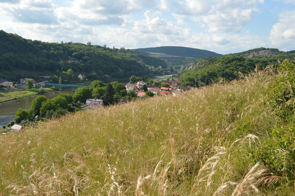 Restaurace A Penzion U Lva Karlštejn Kültér fotó
