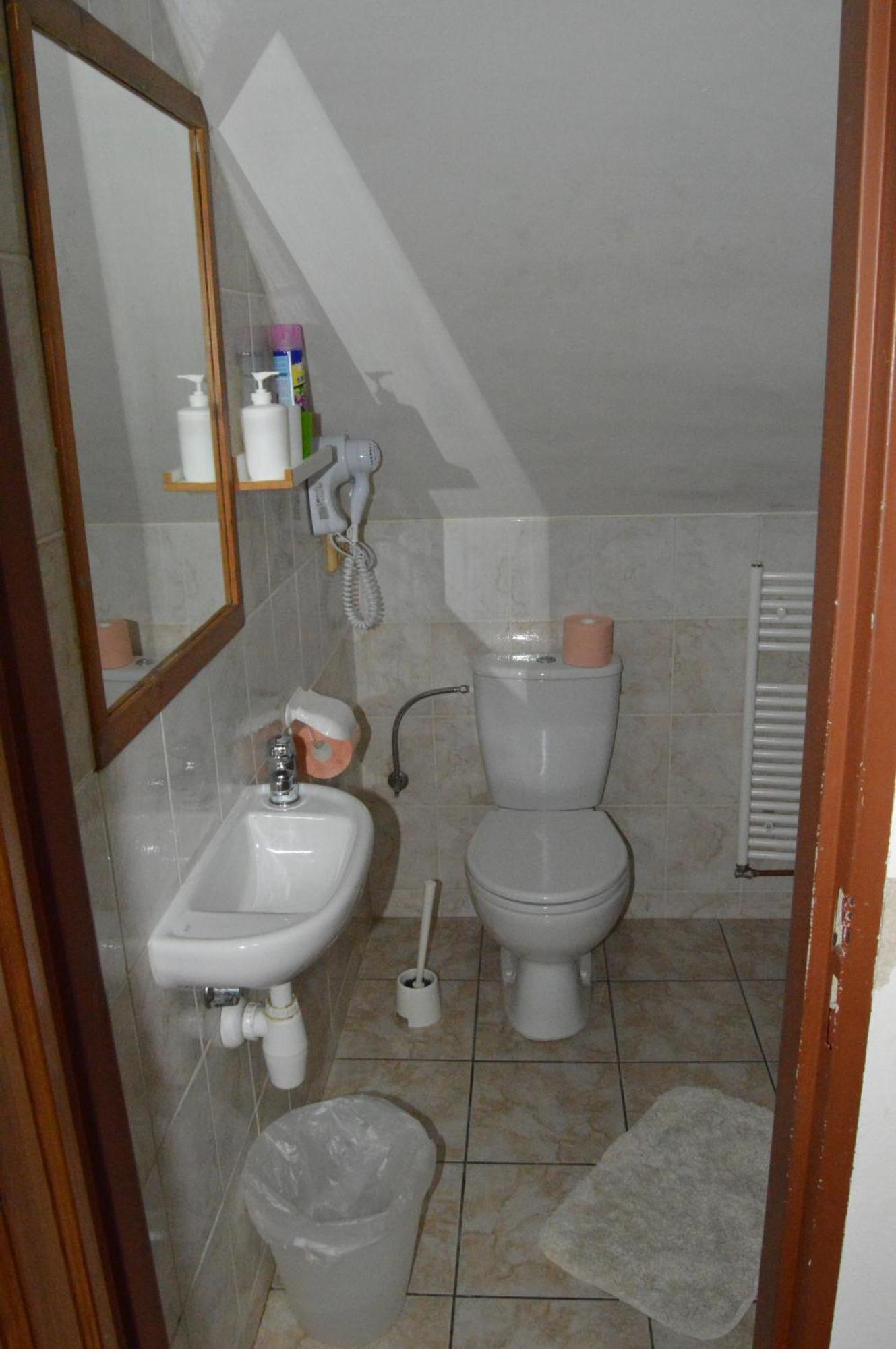 Restaurace A Penzion U Lva Karlštejn Kültér fotó